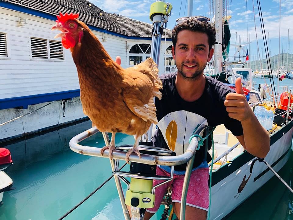 L'incroyable odyssée de Guirec et sa poule, Monique | Côtes d'Armor le